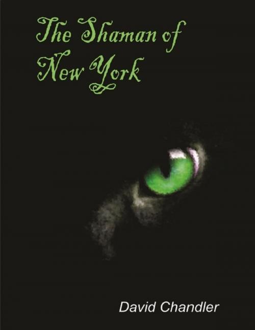 Cover of the book The Shaman of New York by David Chandler, Lulu.com