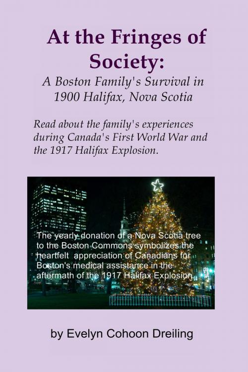 Cover of the book At the Fringes of Society: A Boston Family's Survival in 1900 Halifax, Nova Scotia by Evelyn Dreiling, Evelyn Dreiling