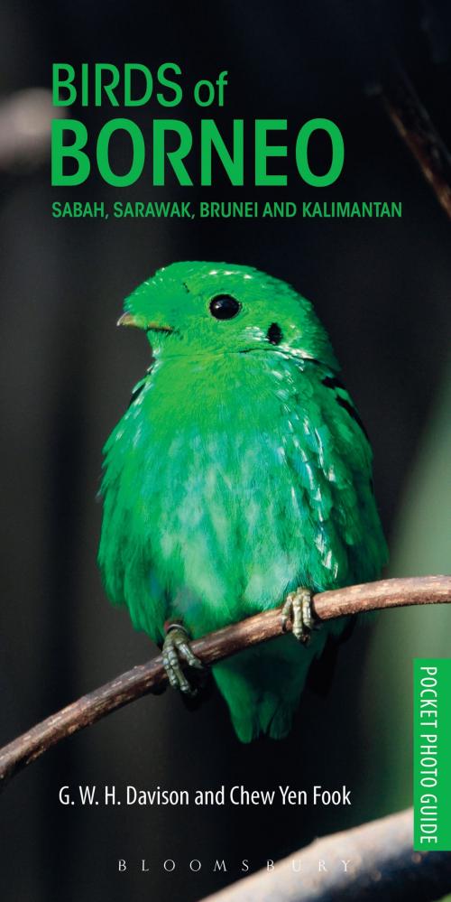 Cover of the book Birds of Borneo by G. W. H. Davison, Bloomsbury Publishing