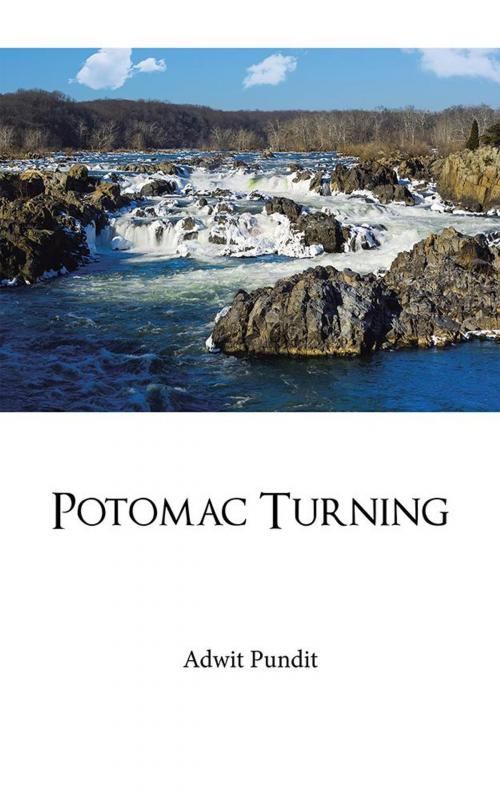 Cover of the book Potomac Turning by Adwit Pundit, Partridge Publishing India