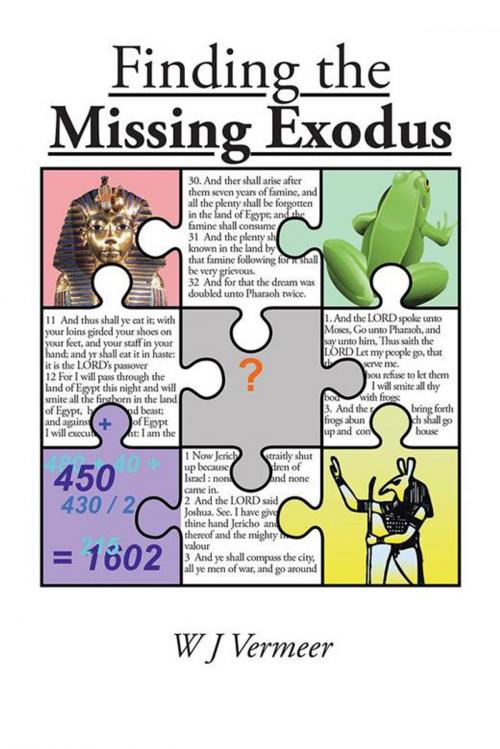 Cover of the book Finding the Missing Exodus by W J Vermeer, Xlibris NZ