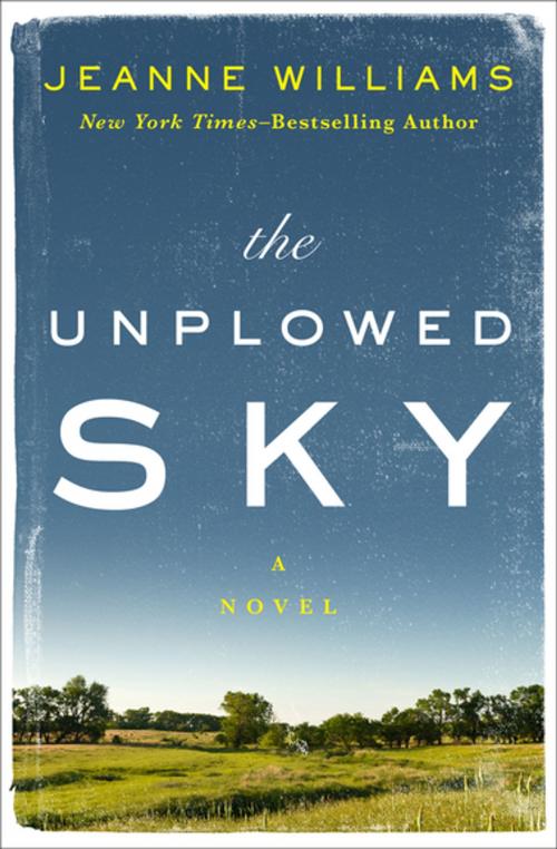 Cover of the book The Unplowed Sky by Jeanne Williams, Open Road Media