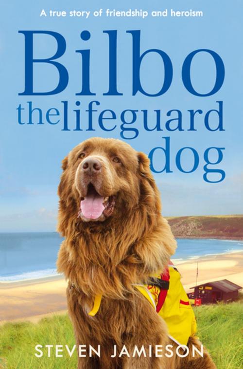 Cover of the book Bilbo the Lifeguard Dog by Steven Jamieson, Pan Macmillan