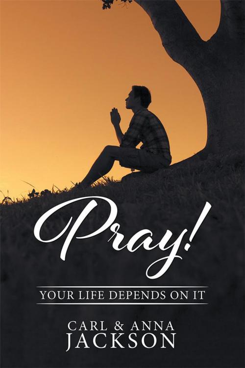 Cover of the book Pray! by Carl Jackson, Anna Jackson, Xlibris US