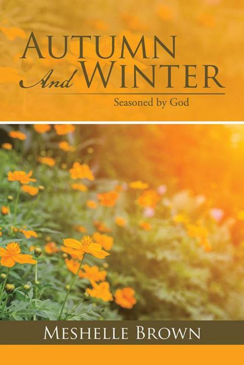 Cover of the book Autumn and Winter by Meshelle Brown, AuthorHouse