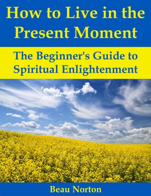 Cover of the book How to Live in the Present Moment: The Beginner's Guide to Spiritual Enlightenment by Beau Norton, Beau Norton