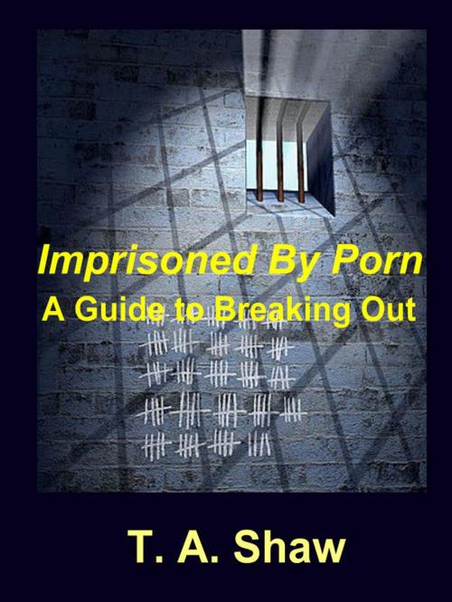 Cover of the book Imprisoned By Porn by T. A. Shaw, T. A. Shaw