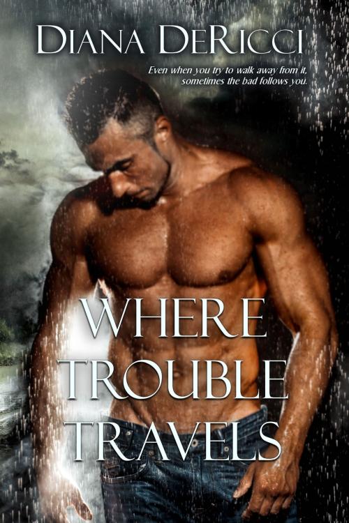 Cover of the book Where Trouble Travels by Diana DeRicci, Purple Sword Publications