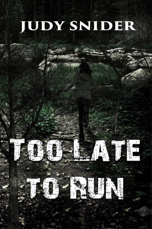 Cover of the book Too Late to Run by Judy Snider, World Castle Publishing, LLC