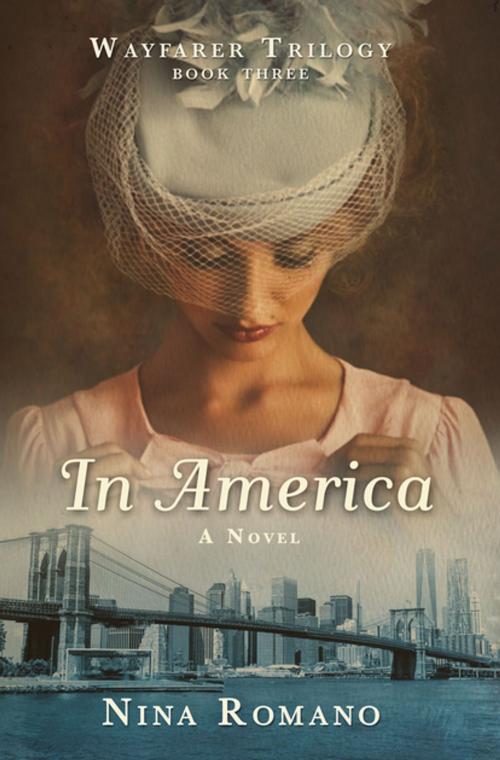 Cover of the book In America by Nina Romano, Turner Publishing Company