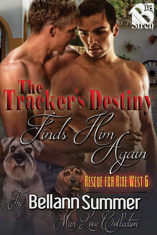 Cover of the book The Tracker's Destiny Finds Him Again by Bellann Summer, Siren-BookStrand