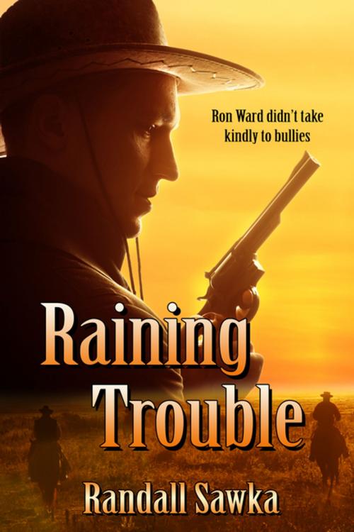 Cover of the book Raining Trouble by Randall, Sawka, BWL Publishing Inc.