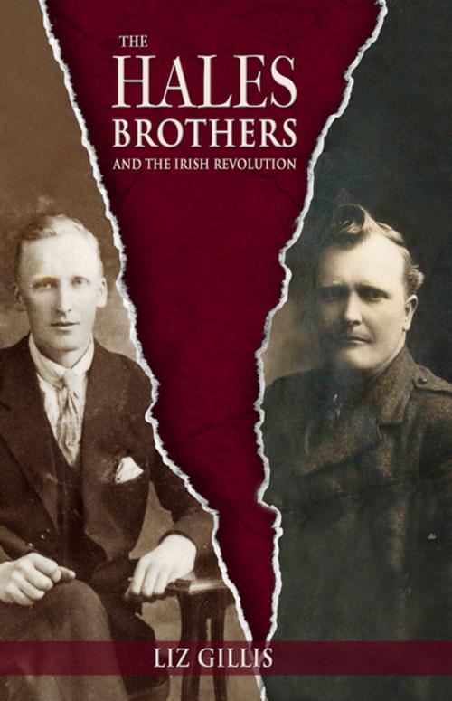 Cover of the book The Hales Brothers and the Irish Revolution by Liz Gillis, Mercier Press