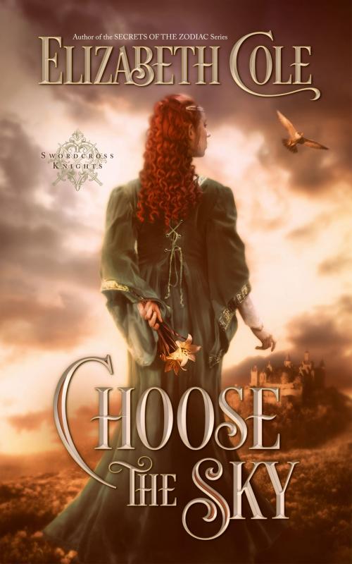 Cover of the book Choose the Sky by Elizabeth Cole, SkySpark Books