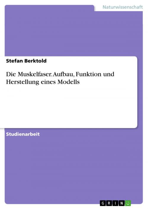 Cover of the book Die Muskelfaser. Aufbau, Funktion und Herstellung eines Modells by Stefan Berktold, GRIN Verlag