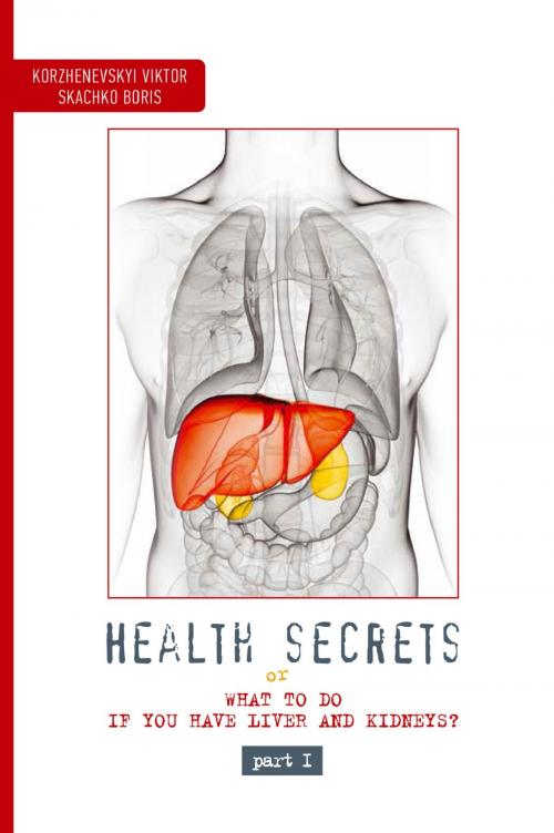 Cover of the book Health Secrets - Part 1 by Korzhenevskyi Viktor, Skachko Boris, Vikey