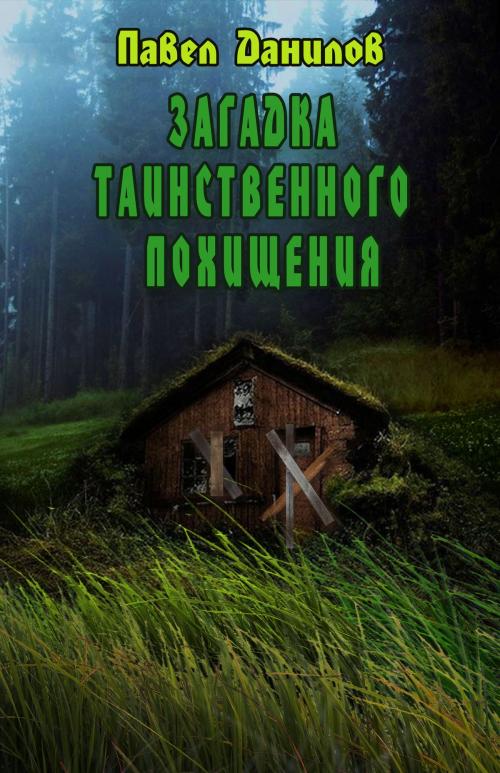 Cover of the book Загадка таинственного похищения by Павел Данилов, Pavel Danilov, Dialar Navigator B.V.