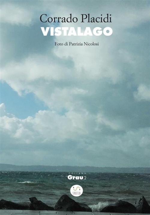 Cover of the book Vistalago by Corrado Placidi, Corrado Placidi