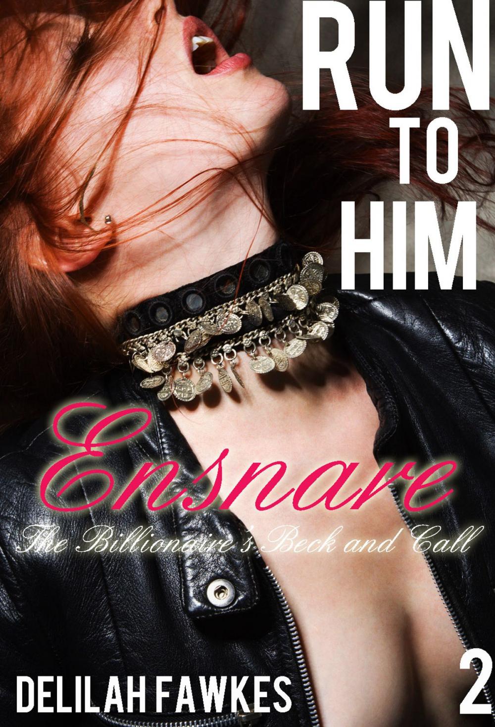 Big bigCover of Run to Him, Part 2: Ensnare