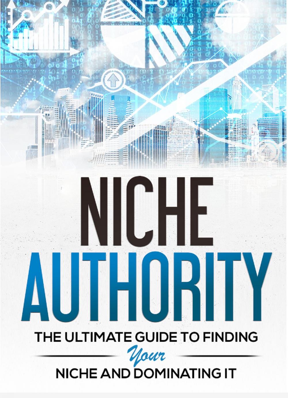 Big bigCover of Niche Authority