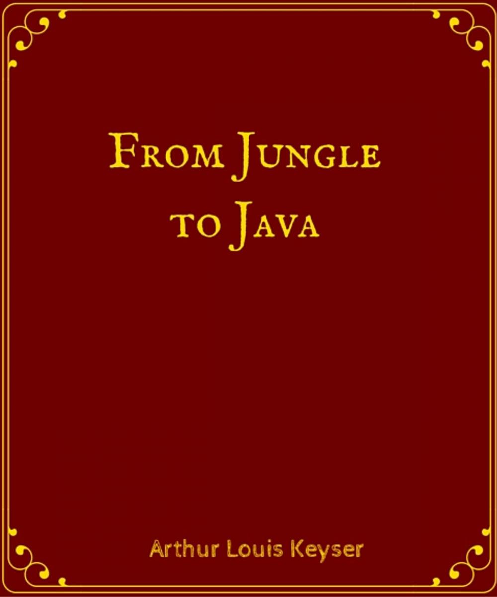 Big bigCover of From Jungle to Java