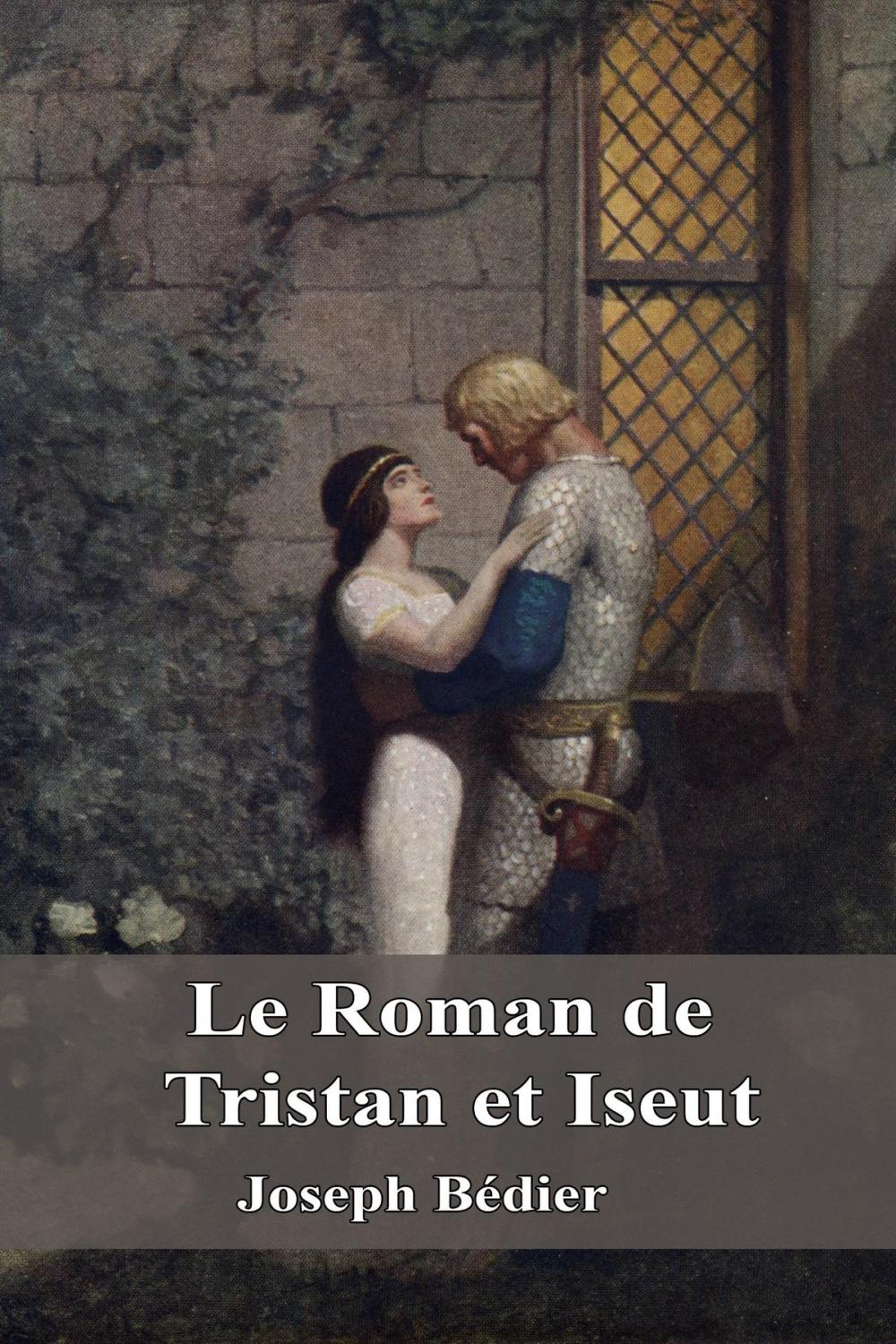 Big bigCover of Le Roman de Tristan et Iseut