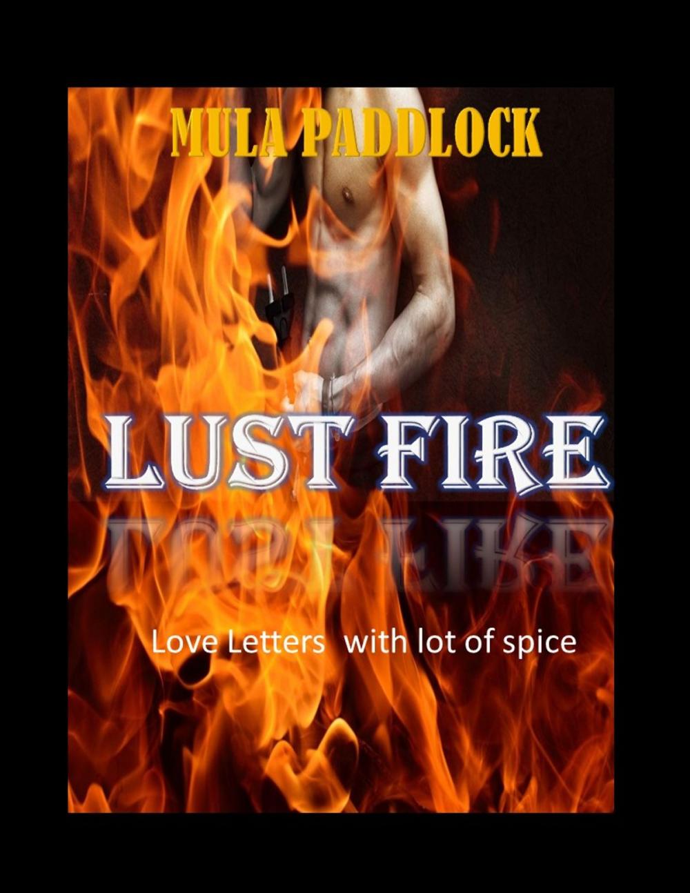 Big bigCover of Lust Fire