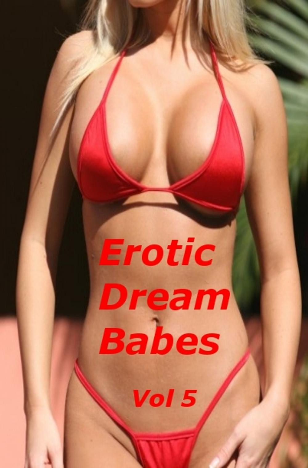 Big bigCover of Erotic Dream Babes - Volume 5