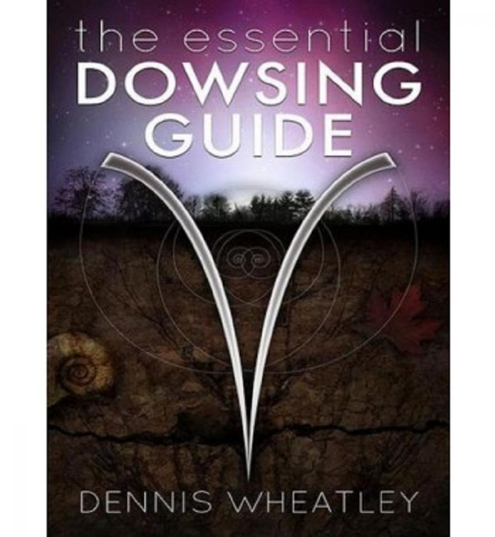 Big bigCover of The Essential Dowsing Guide