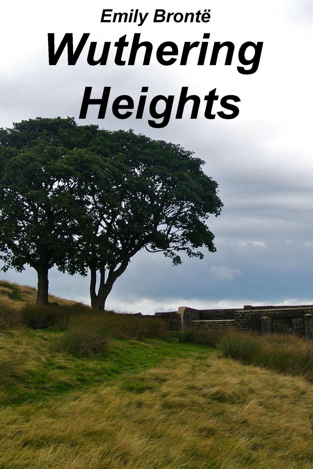 Big bigCover of Wuthering Heights