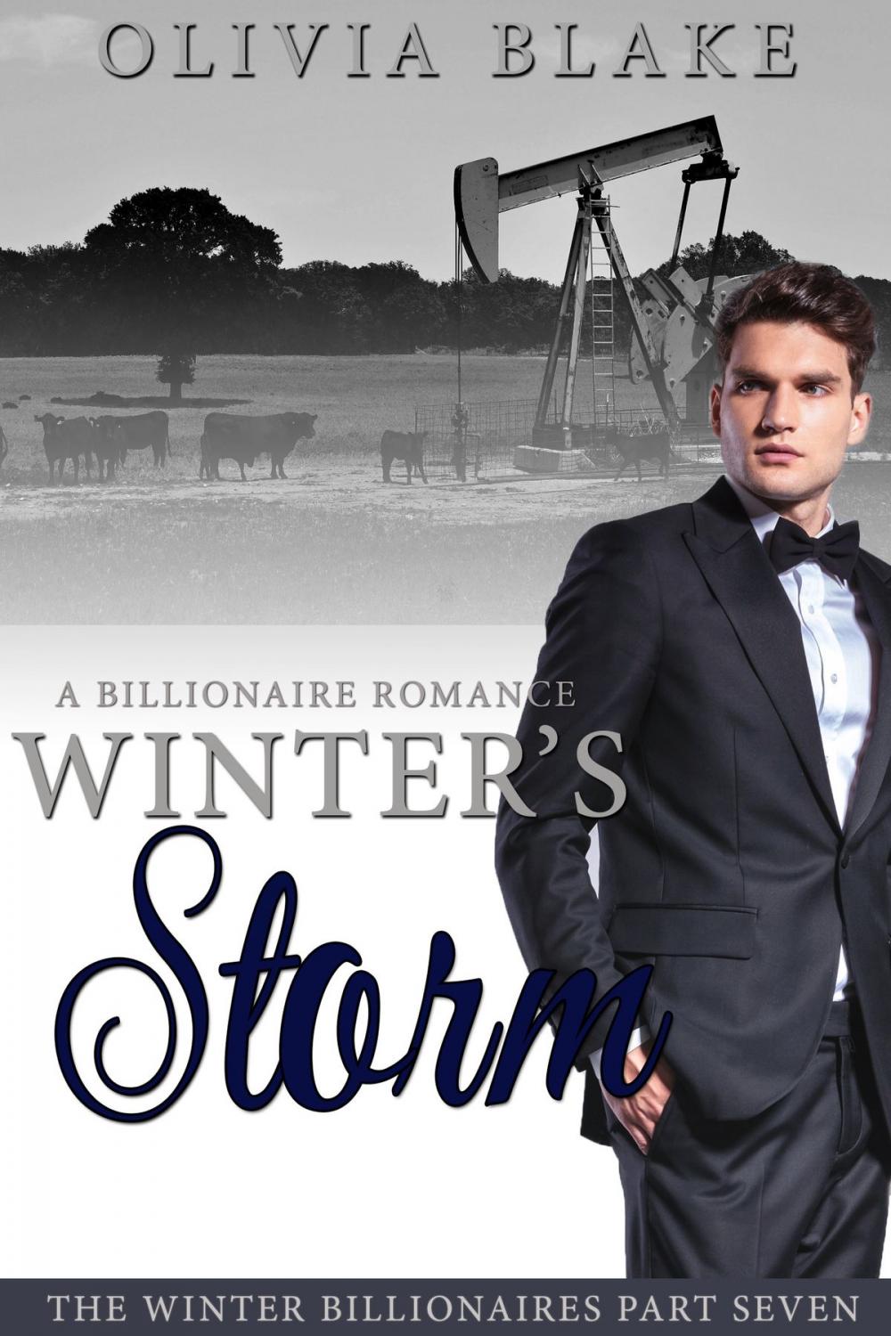 Big bigCover of Winter's Storm: A Billionaire Romance