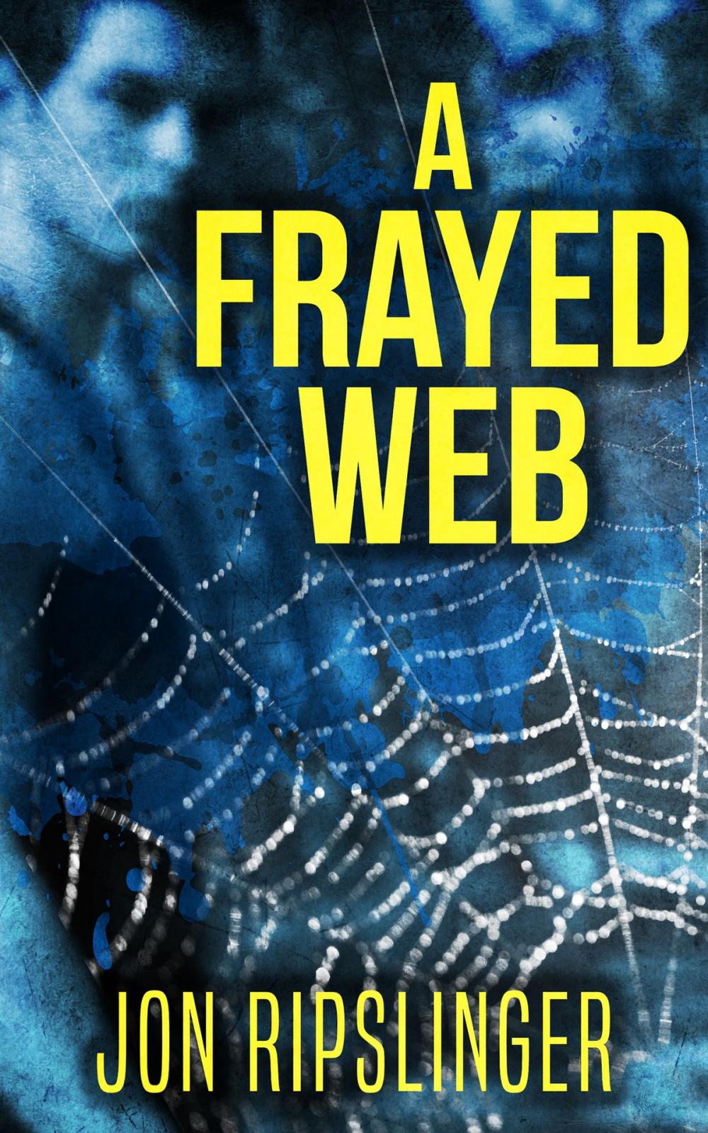 Big bigCover of A Frayed Web