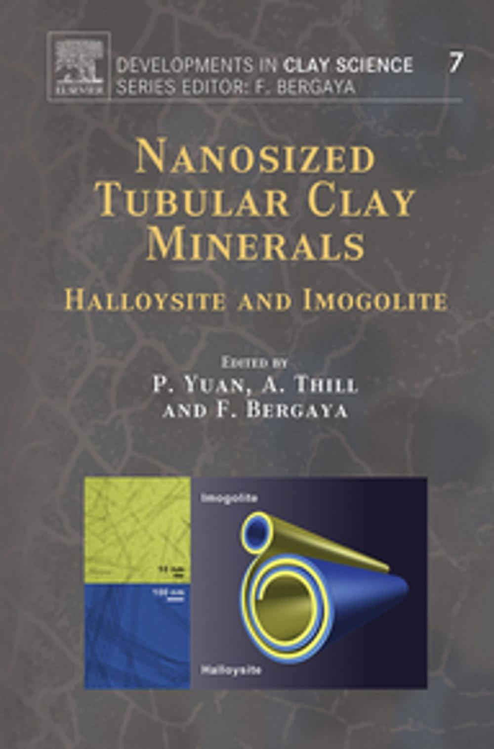 Big bigCover of Nanosized Tubular Clay Minerals