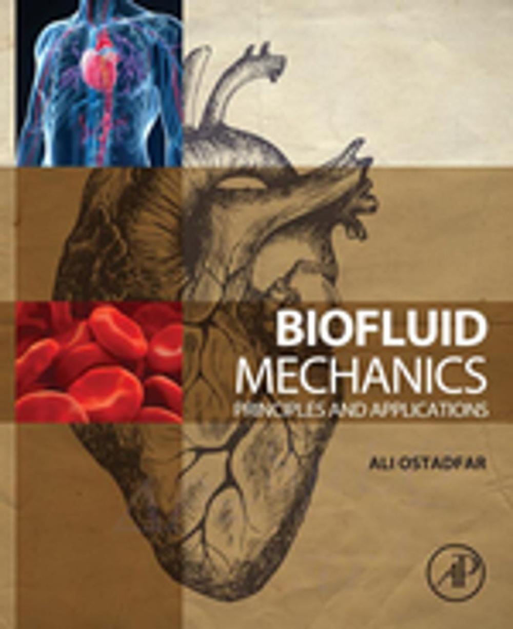 Big bigCover of Biofluid Mechanics