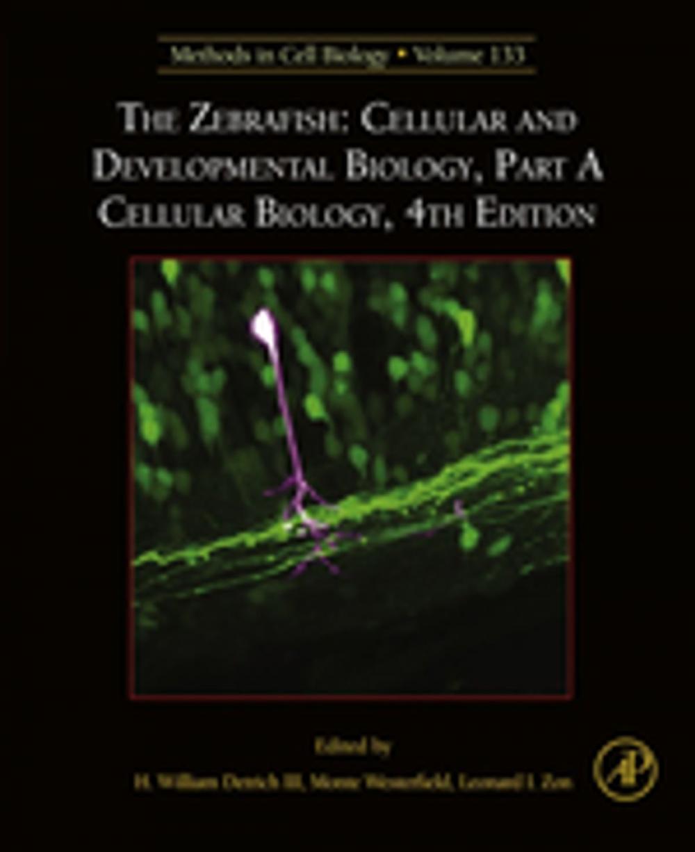 Big bigCover of The Zebrafish: Cellular and Developmental Biology, Part A Cellular Biology