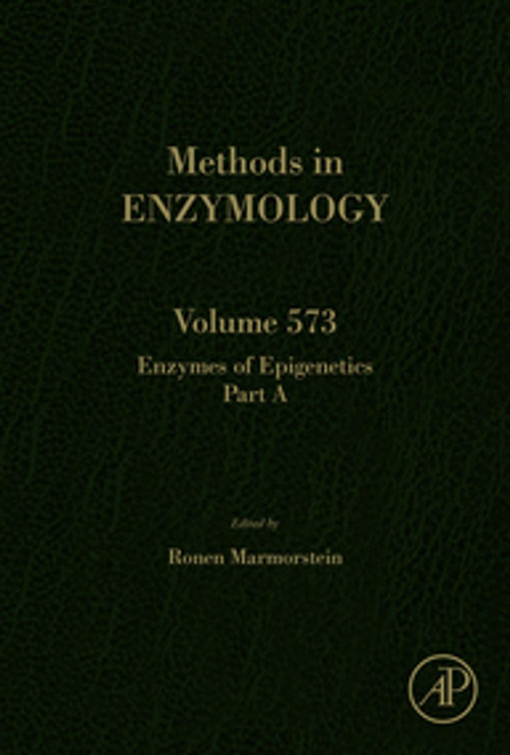 Big bigCover of Enzymes of Epigenetics