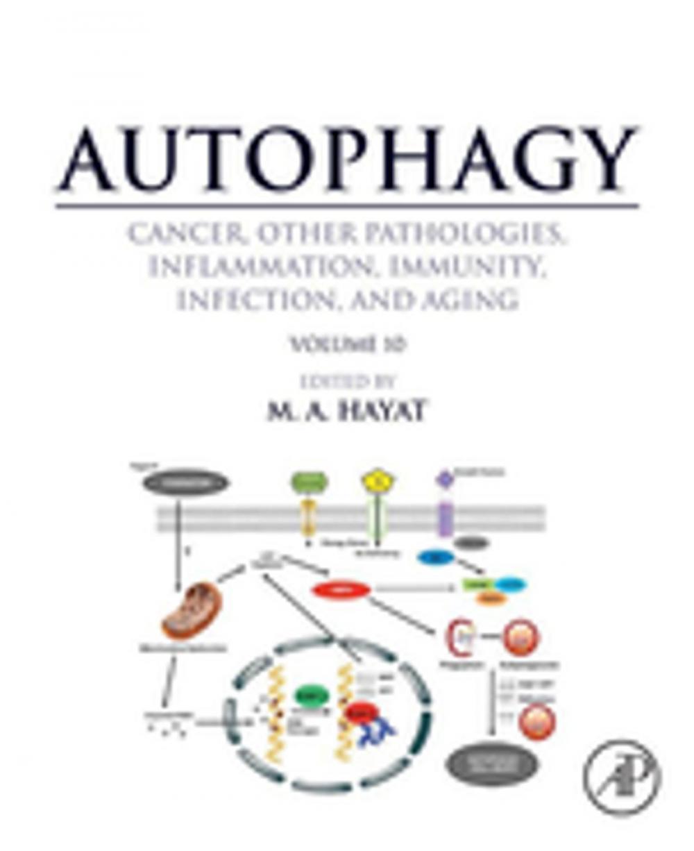 Big bigCover of Autophagy: Cancer, Other Pathologies, Inflammation, Immunity, Infection, and Aging