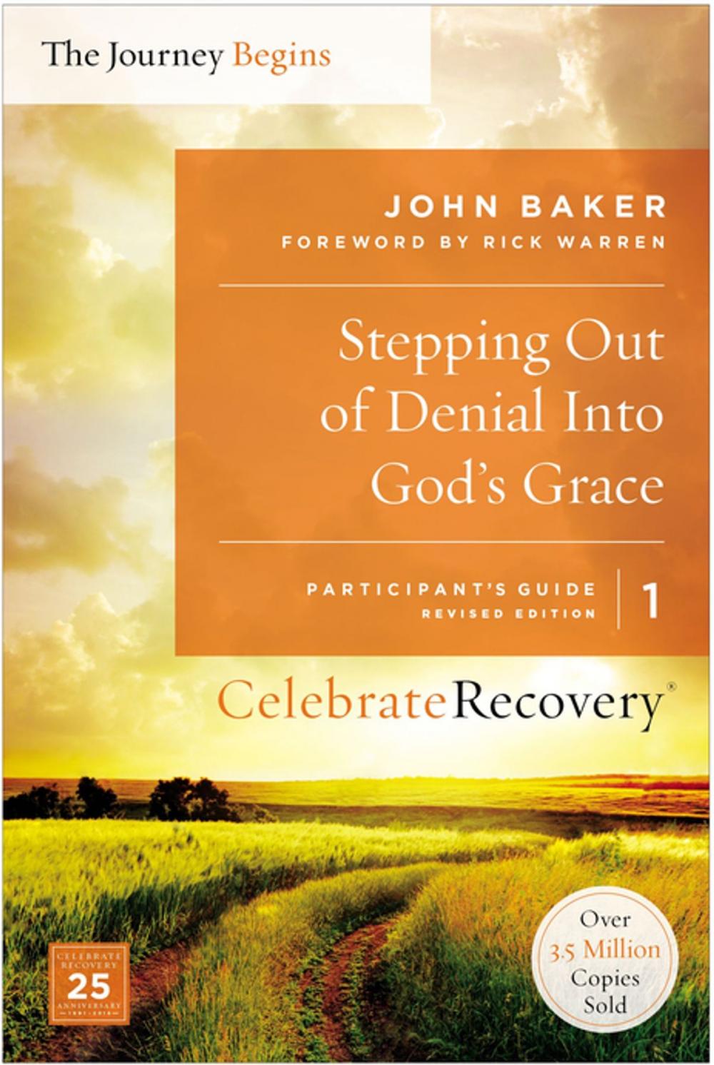Big bigCover of Stepping Out of Denial into God's Grace Participant's Guide 1