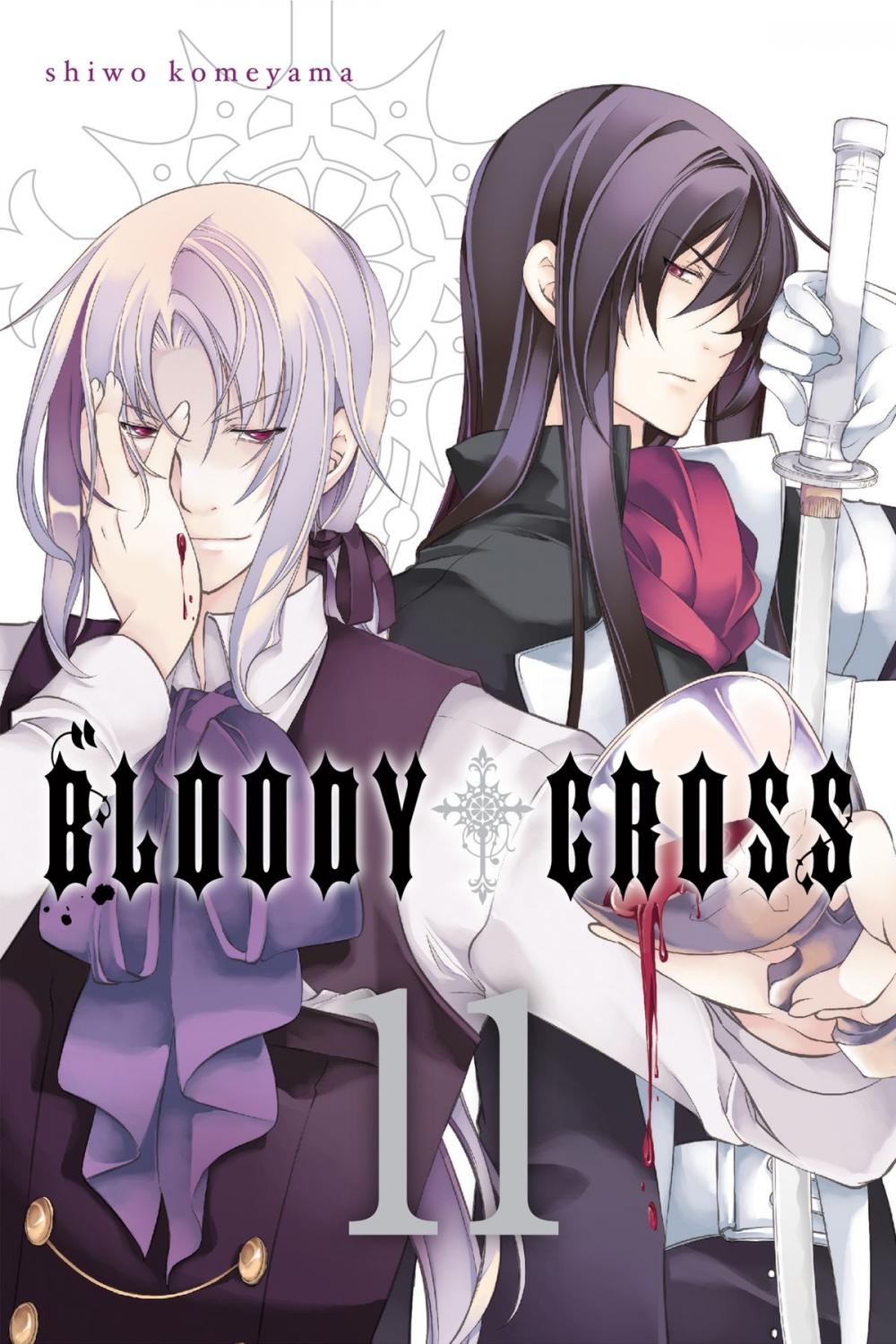 Big bigCover of Bloody Cross, Vol. 11