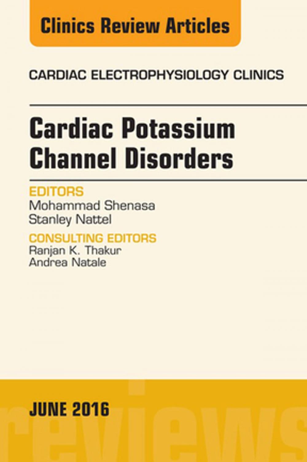 Big bigCover of Cardiac Potassium Channel Disorders, An Issue of Cardiac Electrophysiology Clinics, E-Book