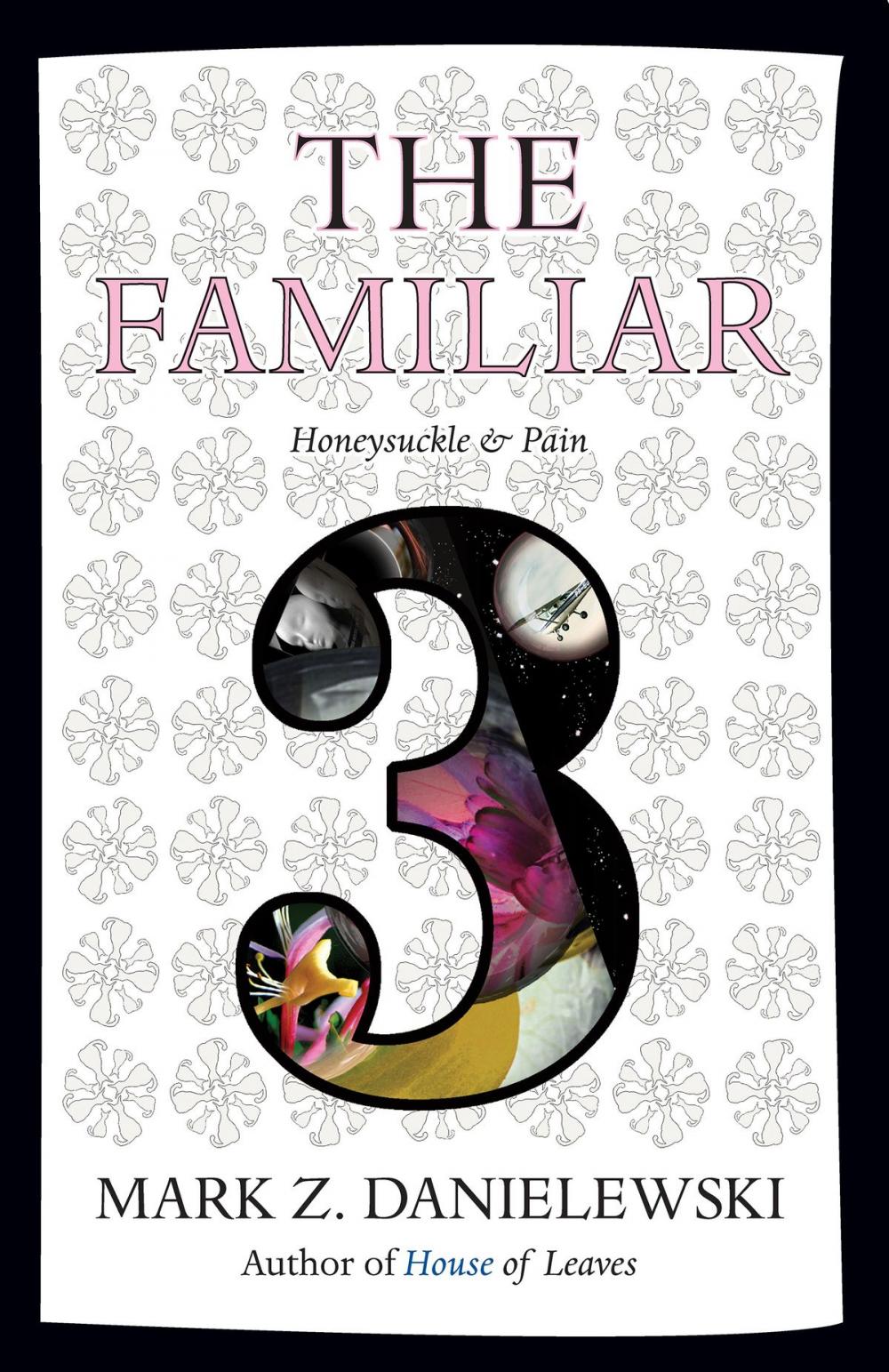 Big bigCover of The Familiar, Volume 3