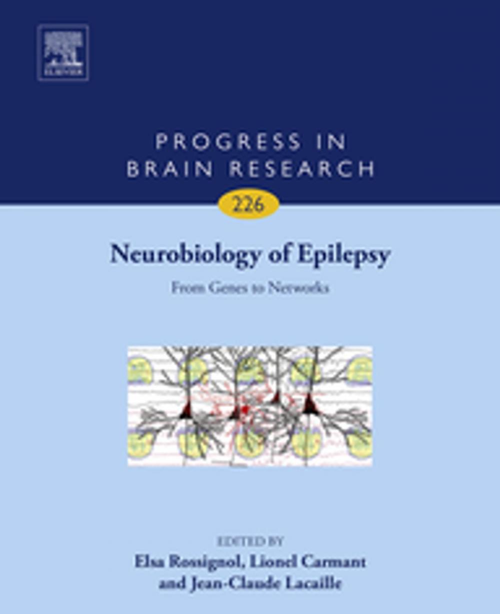 Big bigCover of Neurobiology of Epilepsy