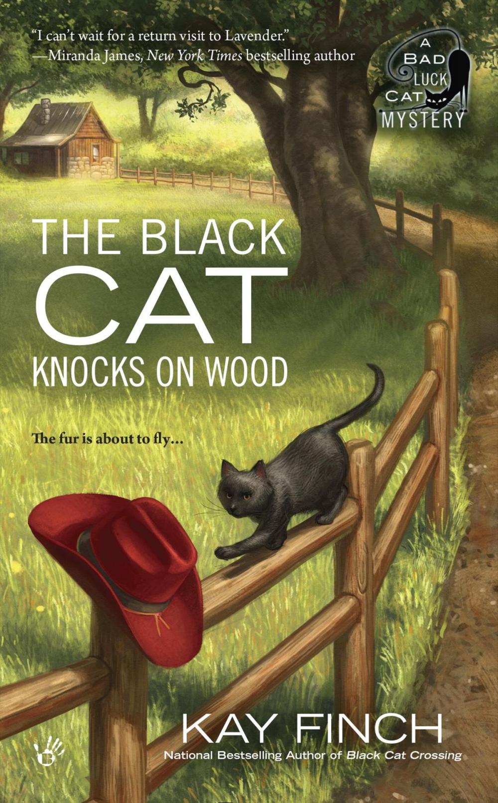 Big bigCover of The Black Cat Knocks on Wood