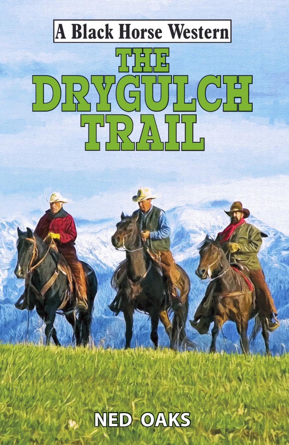 Big bigCover of The Drygulch Trail