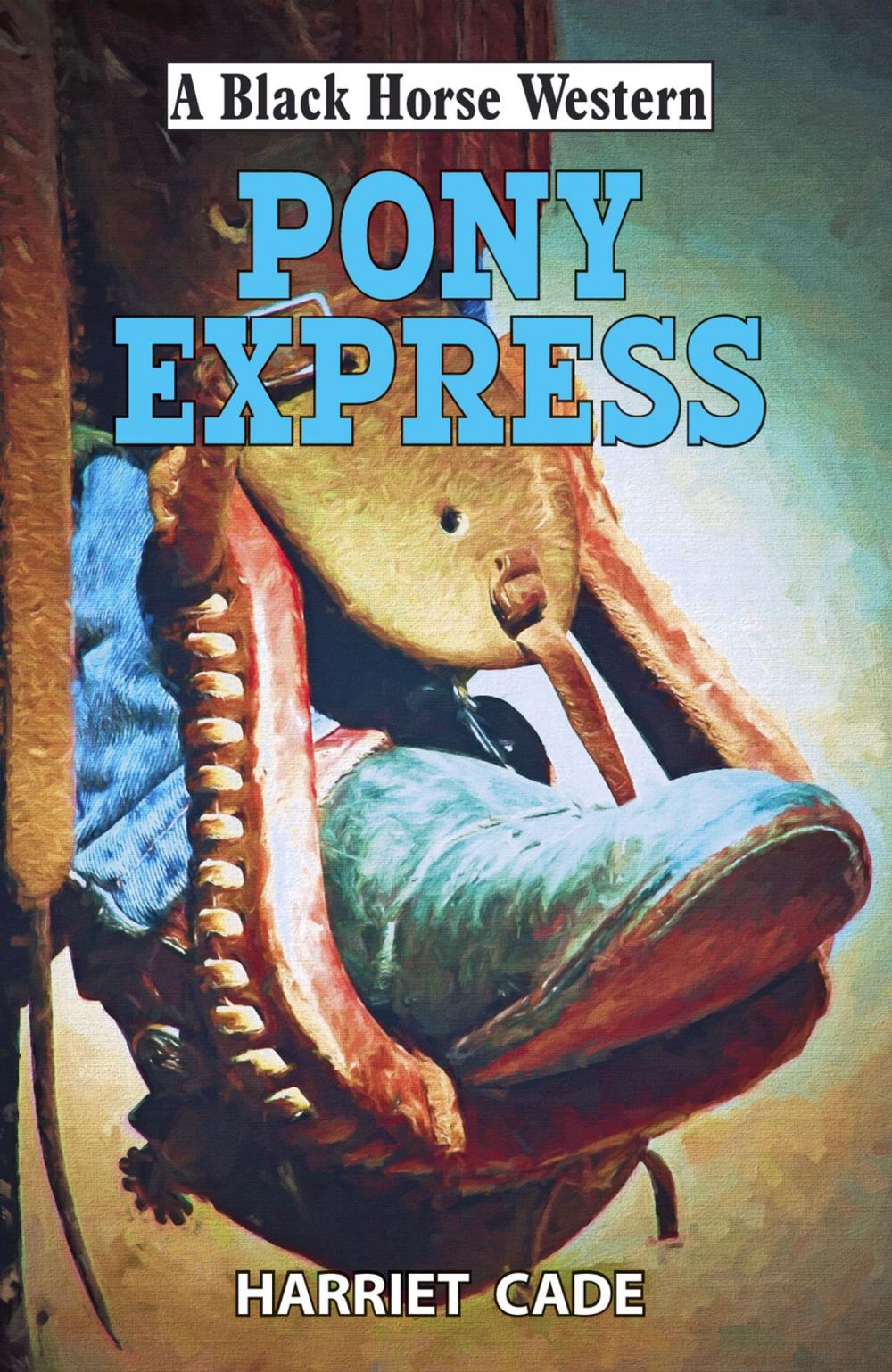 Big bigCover of Pony Express