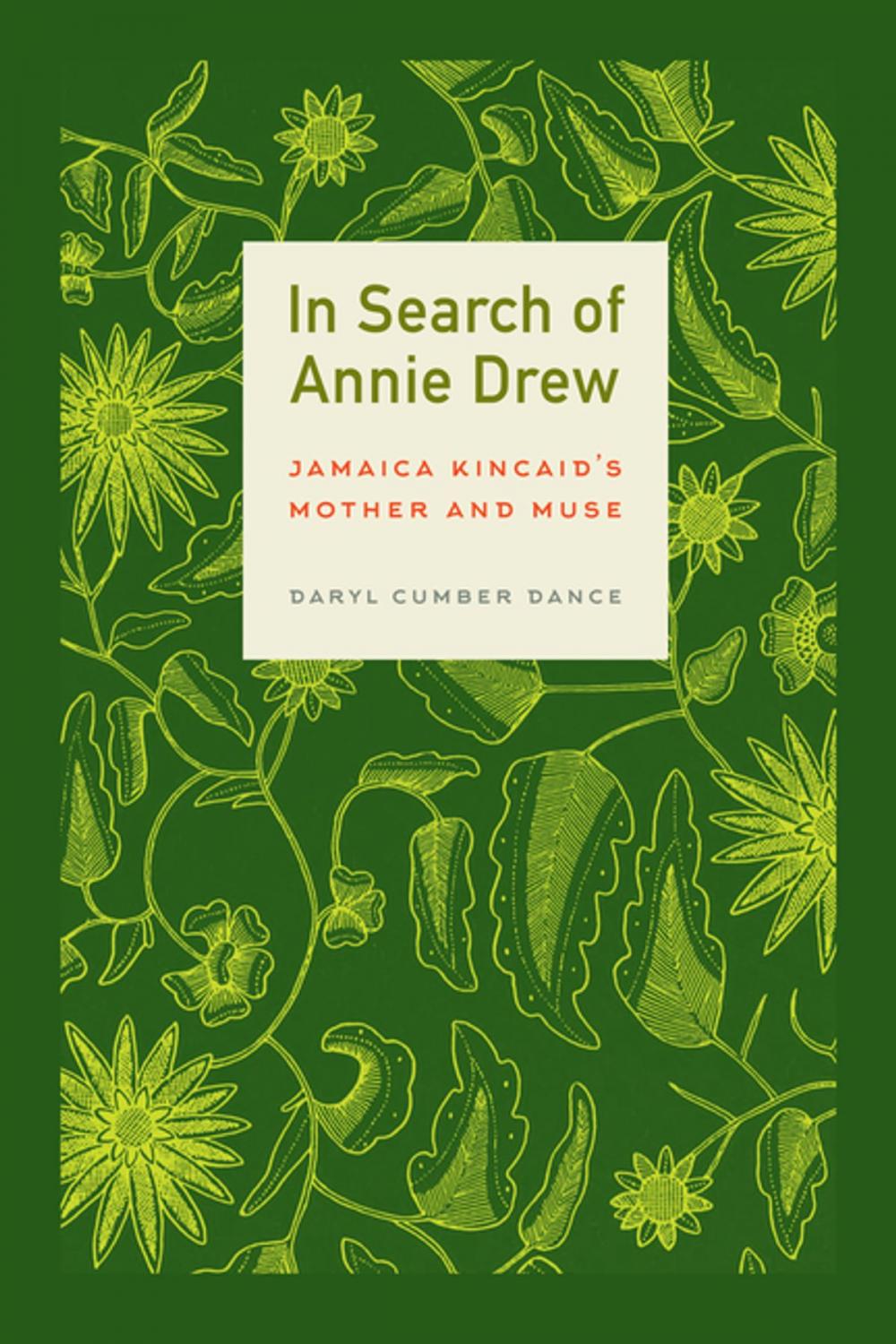 Big bigCover of In Search of Annie Drew