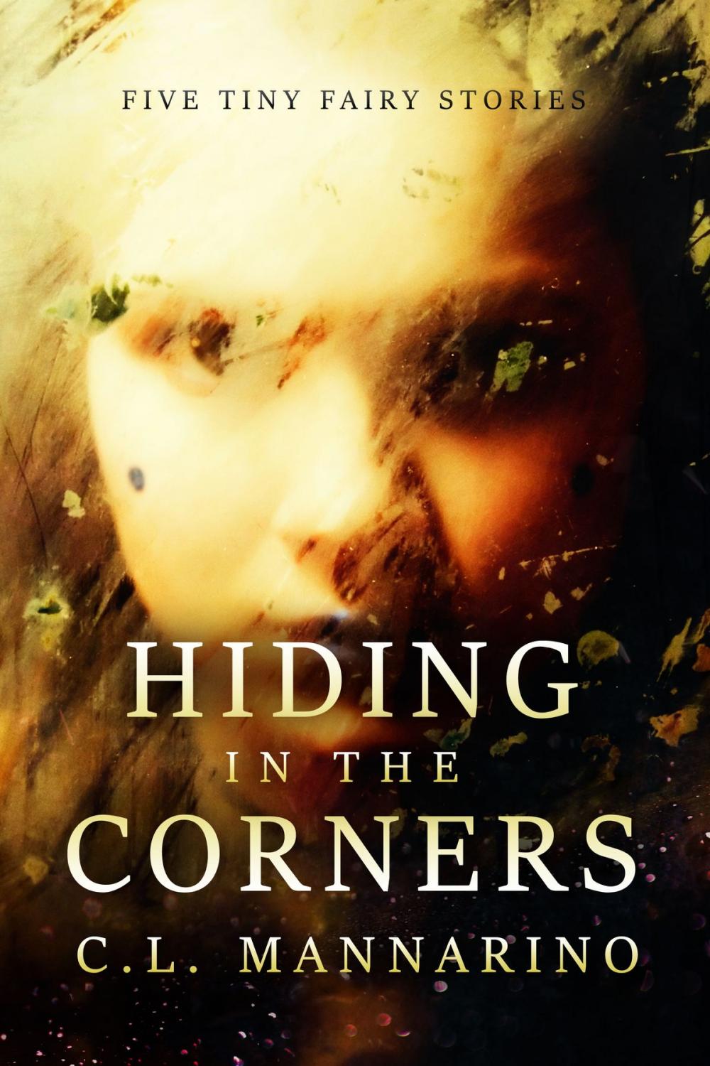 Big bigCover of Hiding in the Corners