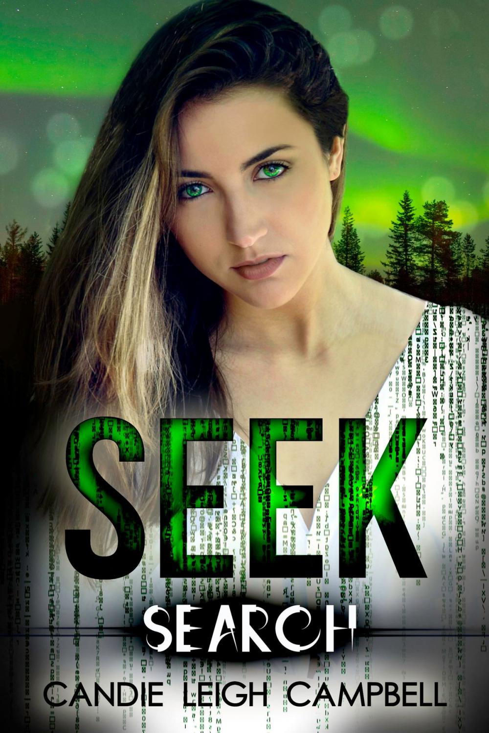 Big bigCover of Search (SEEK Book 1)