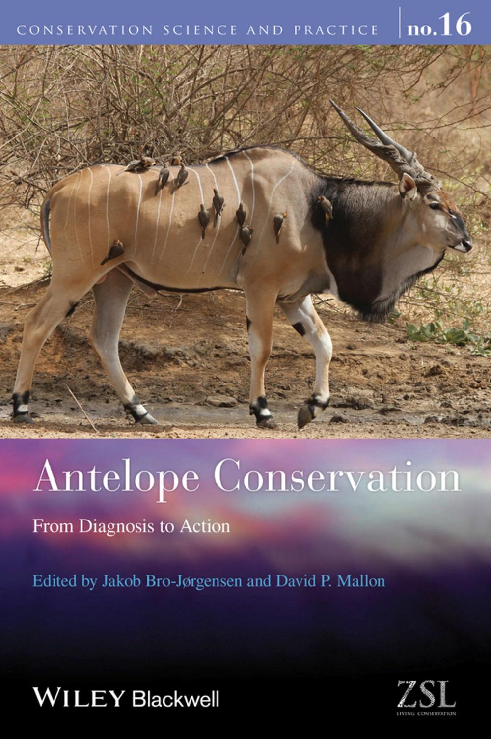 Big bigCover of Antelope Conservation