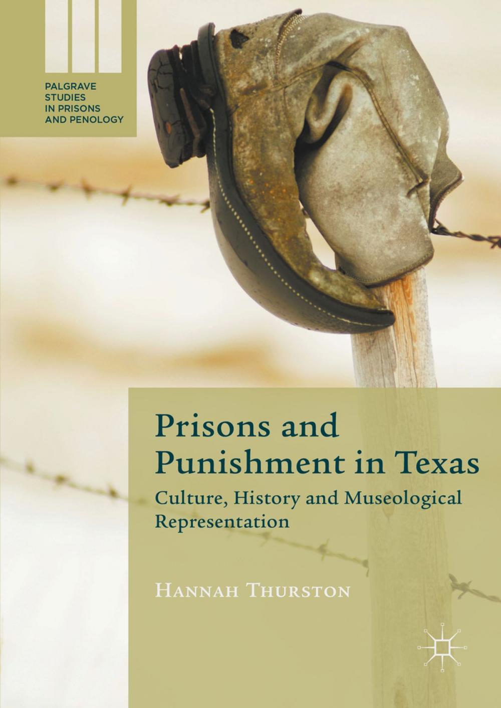 Big bigCover of Prisons and Punishment in Texas